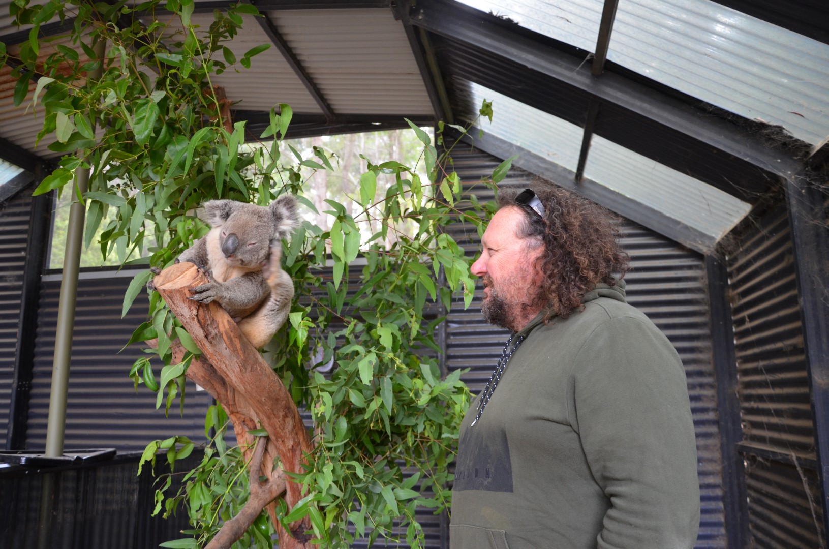 Trevor Evans mit einem überlebenden Koala, Photo Credit Barbara Barkhausen