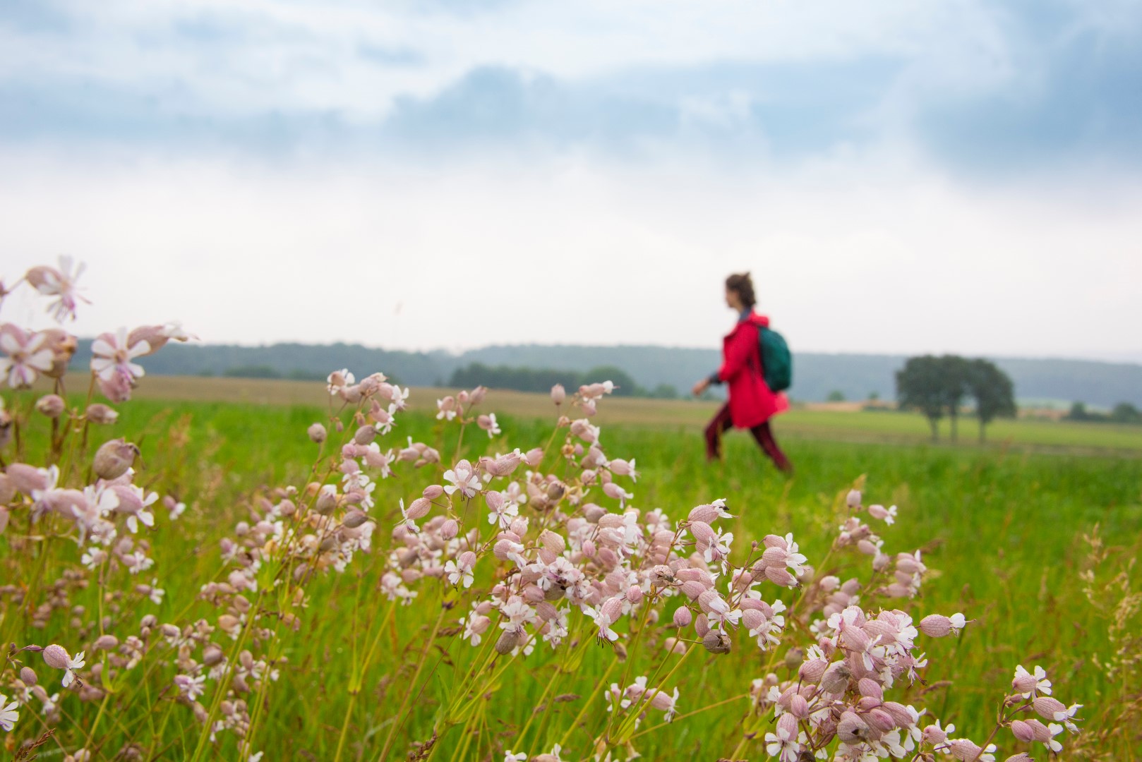 Wege der Besinnung und Einkehr. Photo Credit: TMBW | Udo Bernhart