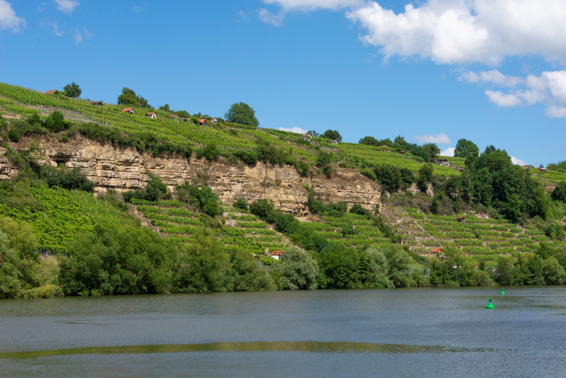 Weinbau in Handarbeit: Steillagen am Neckar; Photo Credit: TMBW / Udo Bernhart 