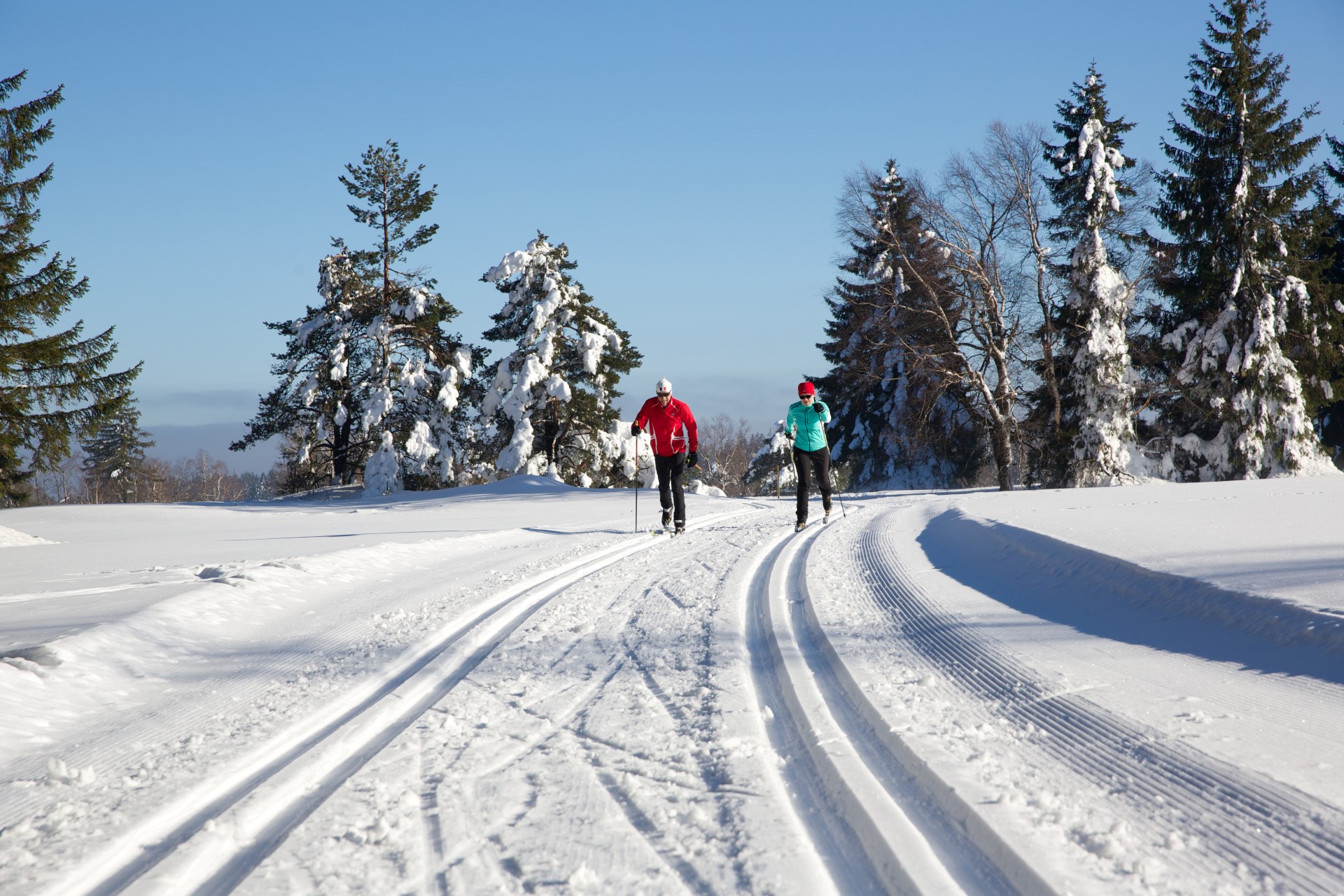 Langlaufen. Photo Credit: Baiersbronn Touristik | Ulrike Klumpp