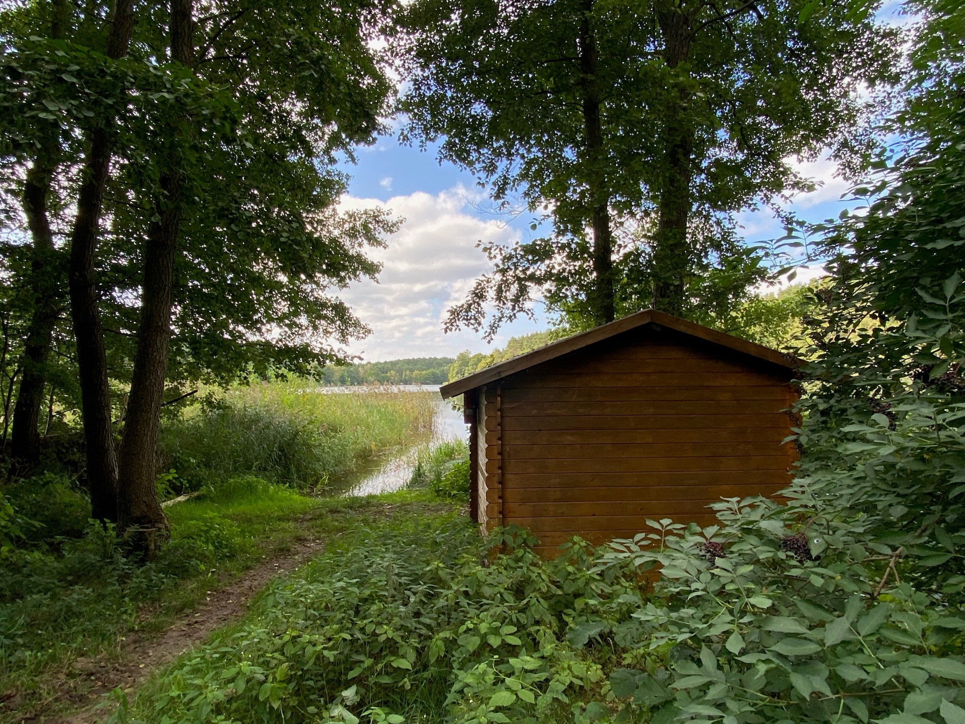 Foto: Natur-Campingplatz „Zum Hexenwäldchen“. Photo Credit: BVCD | MV