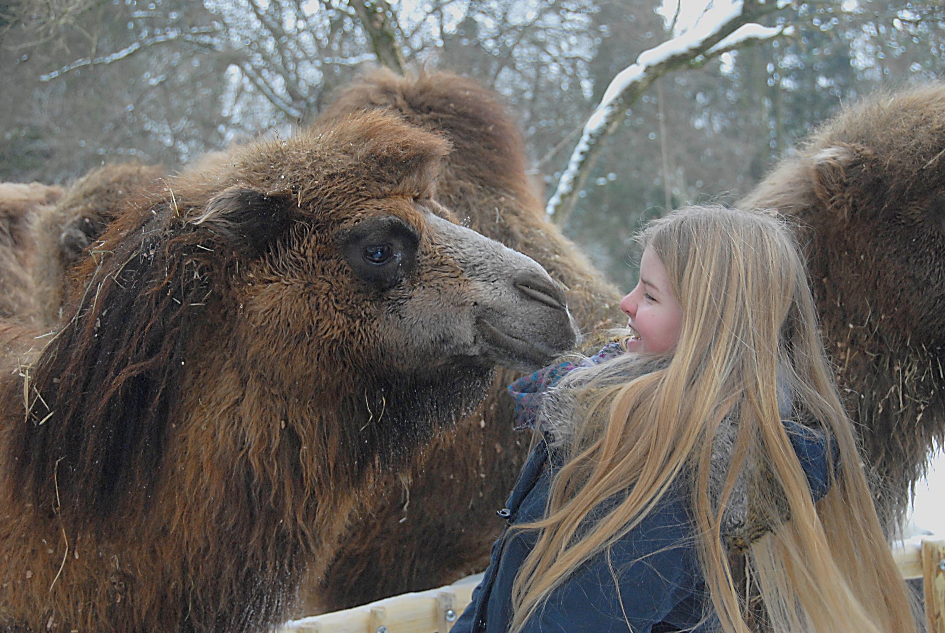 Winterbesuch im Naturschutz-Tierpark Görlitz. Photo Credit: Tierpark Görlitz | C. Hammer