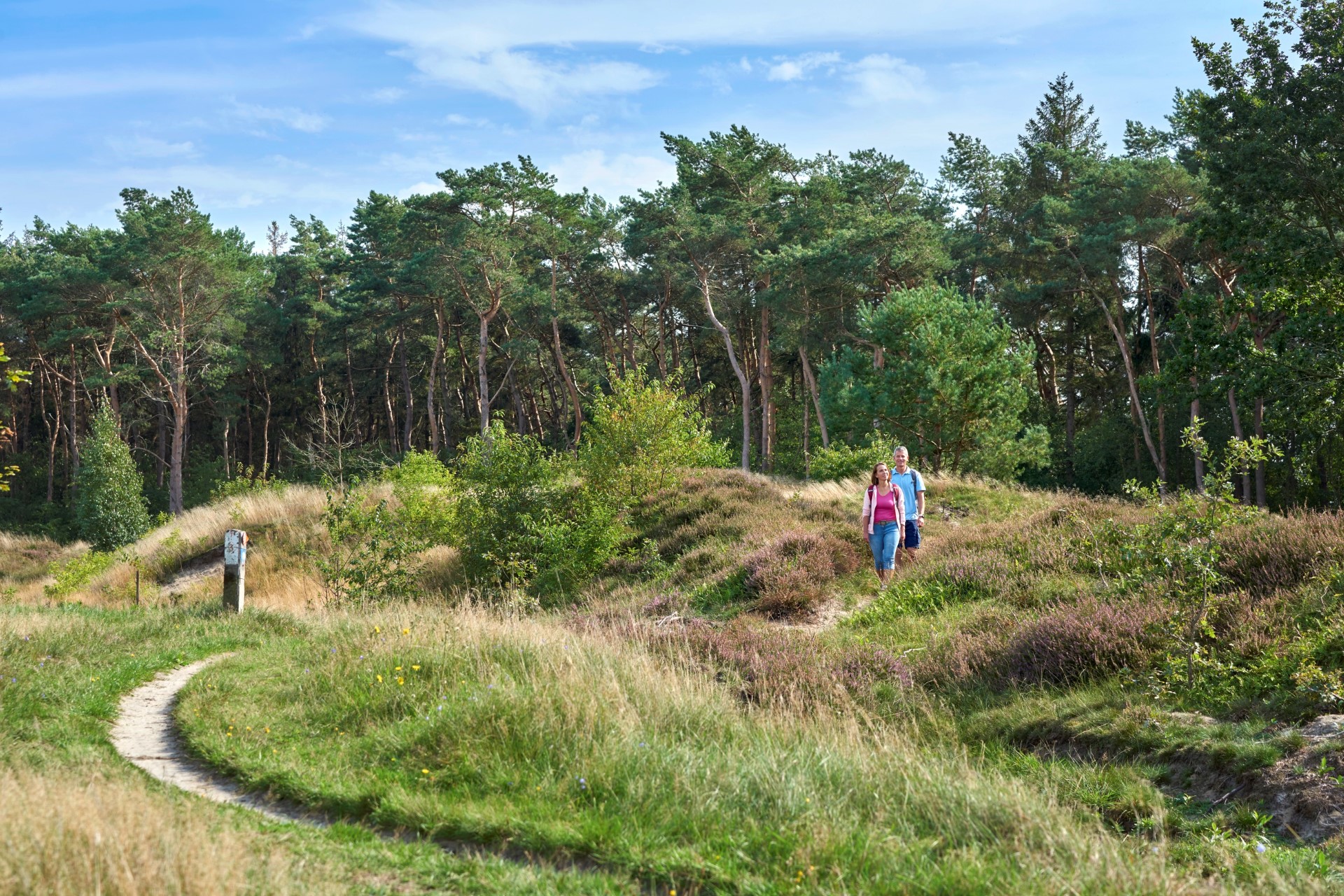 Gudendorfer Forst. PhotoCredit: Dithmarschen Tourismus e.V. | photocompany