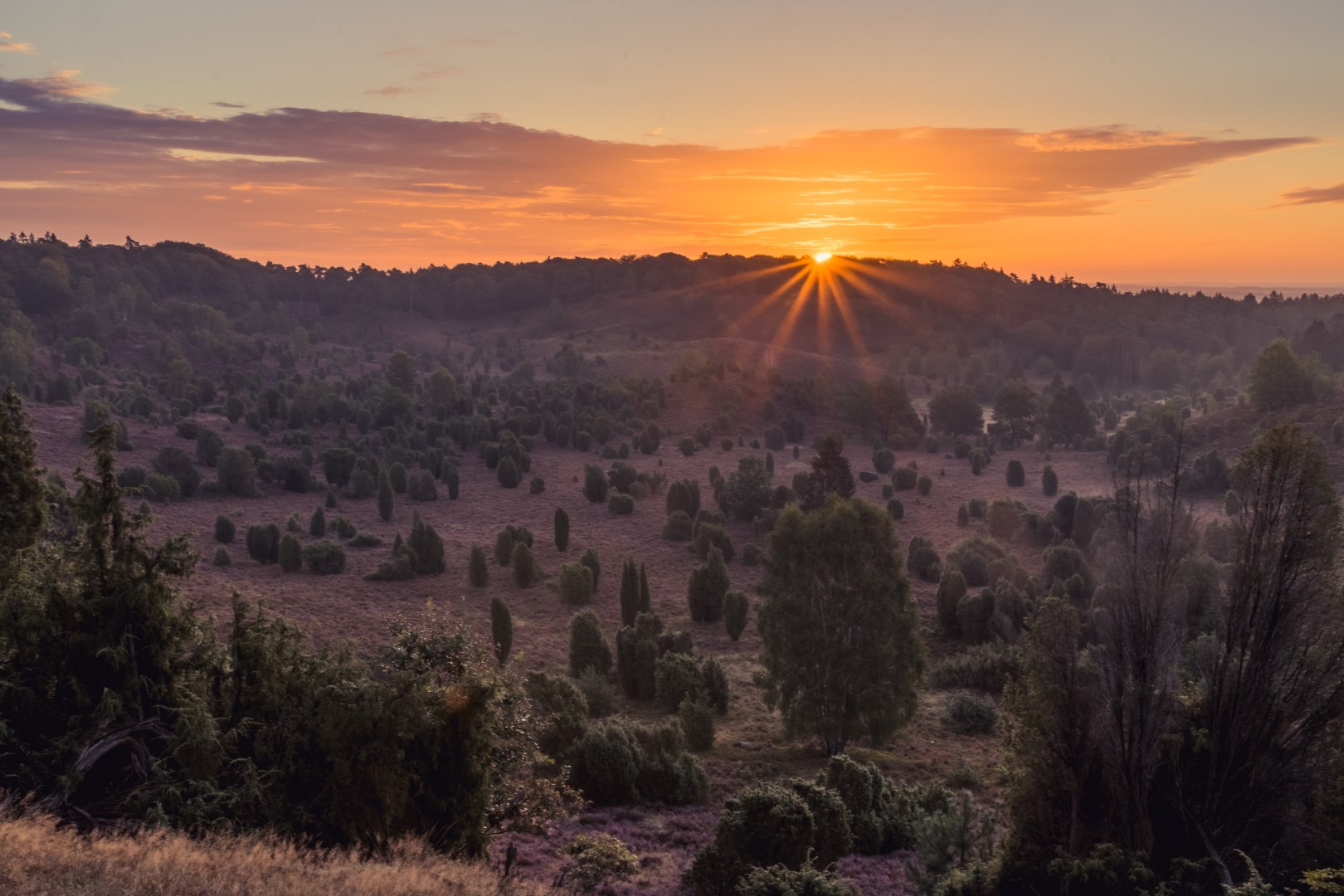 Sonnenaufgang über der Lüneburger Heide. Photo Credit: Jan de Jonge