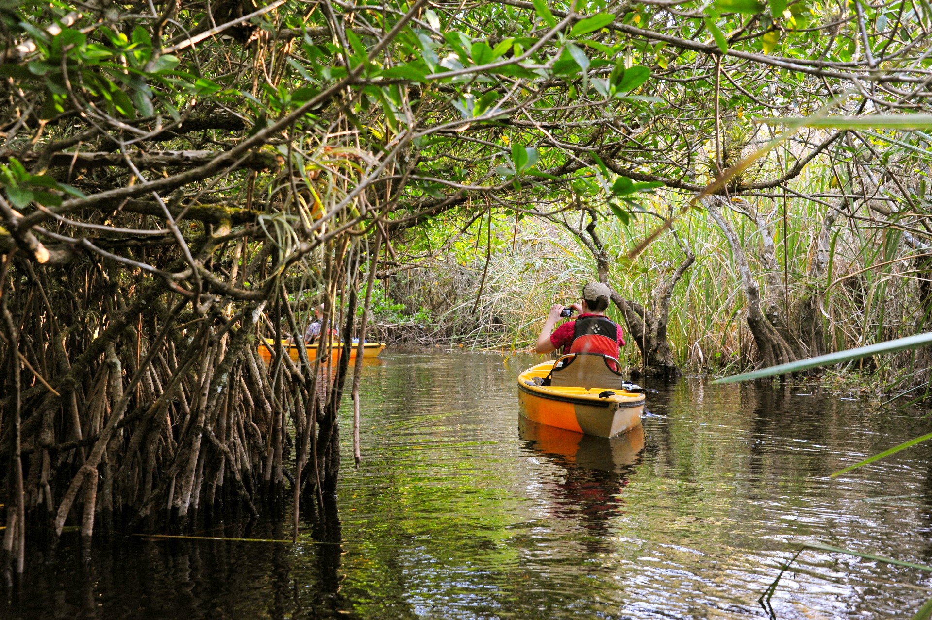 Kanutour durch die Mangroven. Photo Credit Jono Fisher