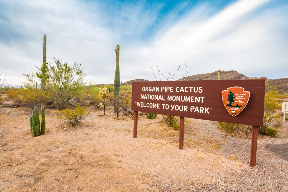 Organ Pipe Cactus Biosphere Reserve. Photo Credit: An T. Pham.