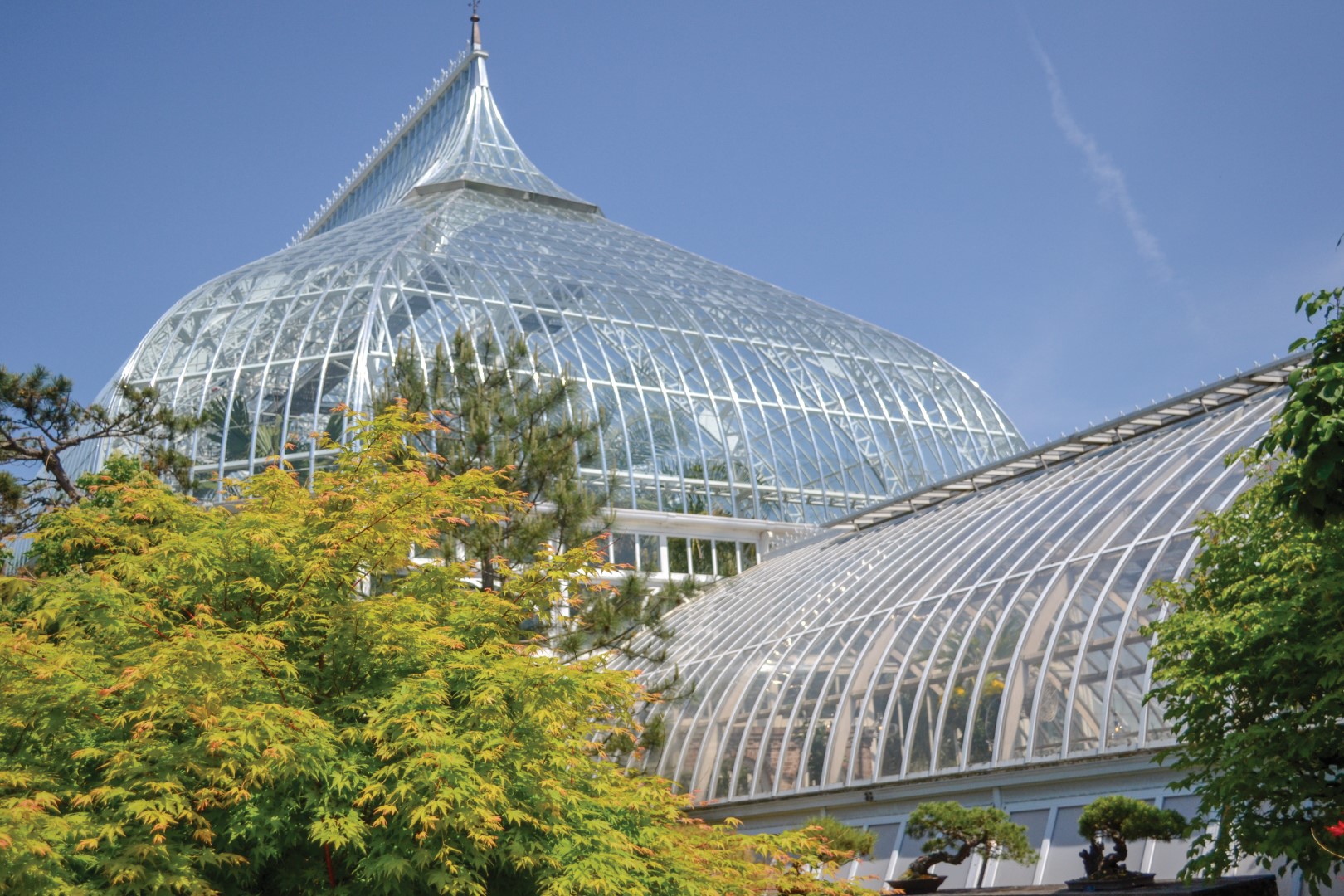 Phipps Conservatory, Pittsburgh. Photo Credit Jin Wu