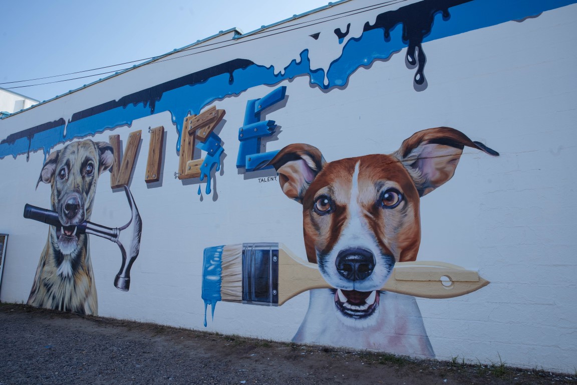 Street Art in Virginia Beach