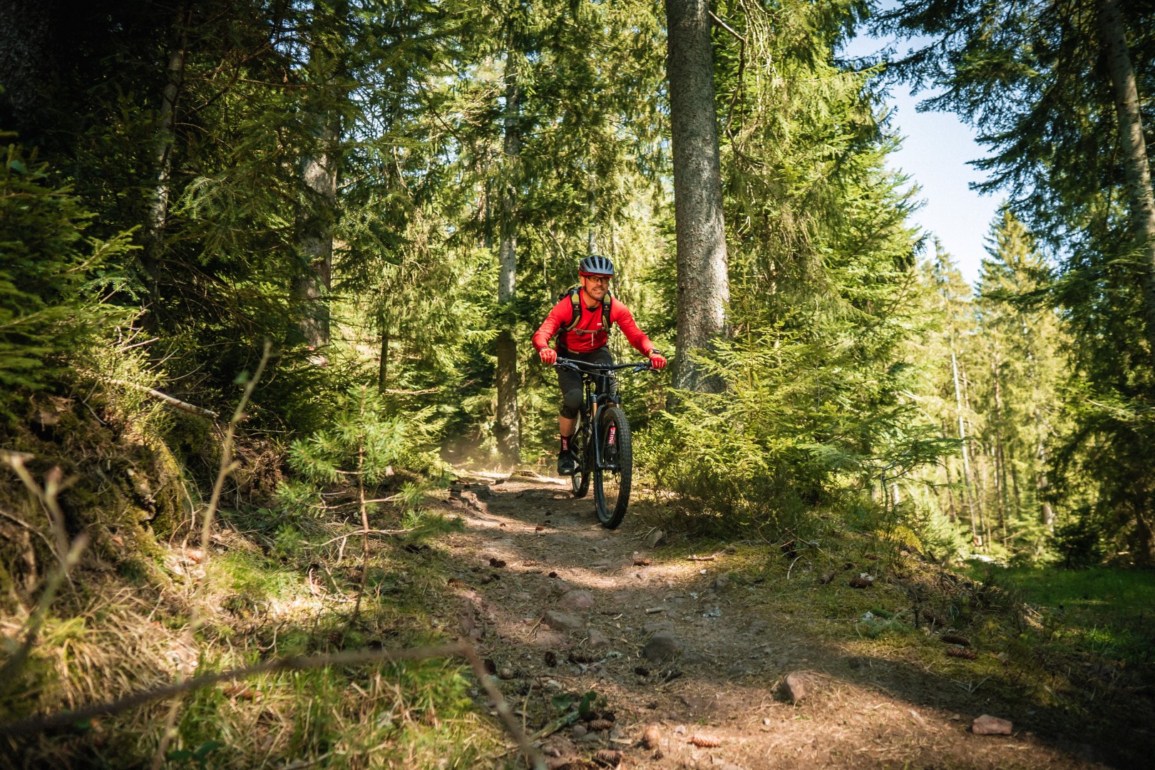 Mit dem Mountainbike durch den Wald. Foto: Baiersbronn Touristik | Max Günter