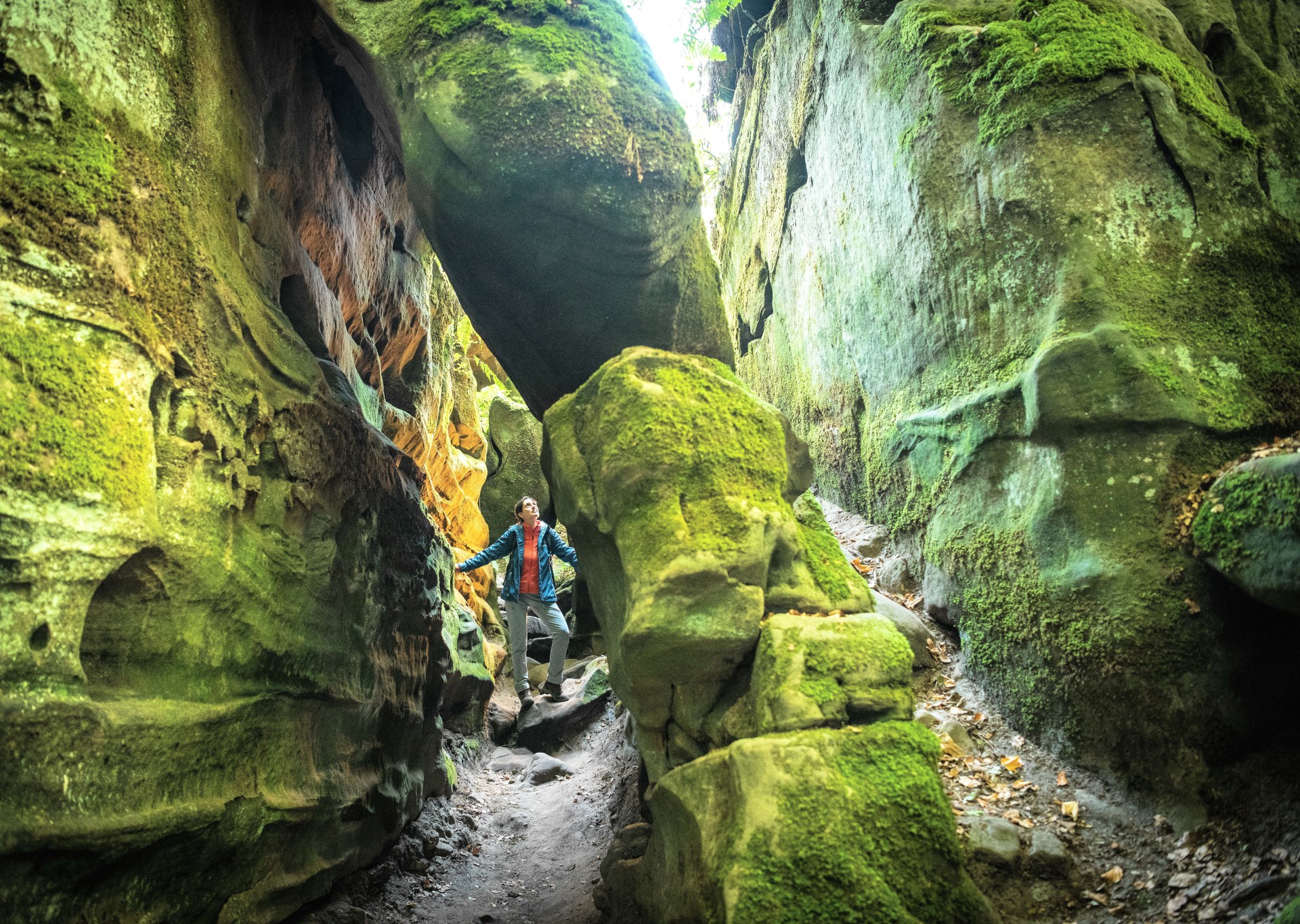 In der Teufelsschlucht. Foto Eifel Tourismus | Dominik Ketz