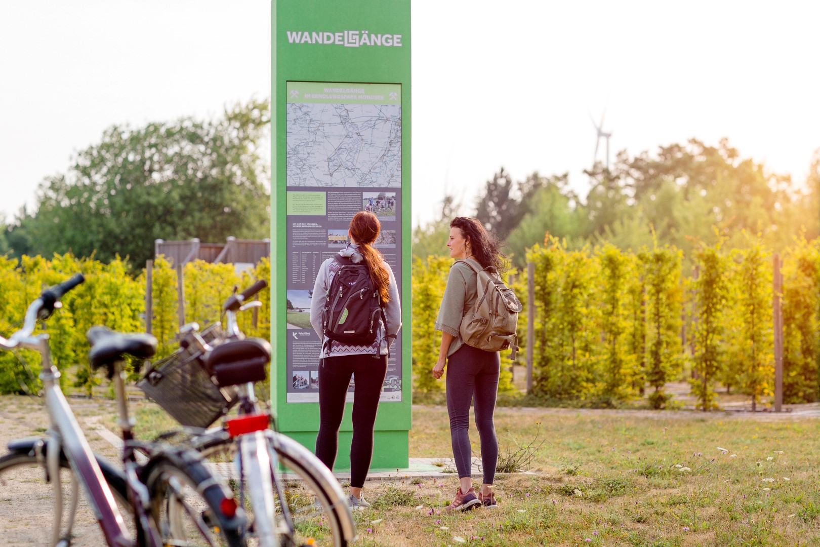 Wandelgänge am Mondsee. Foto: Saale-Unstrut-Tourismus e.V. | Transmedial