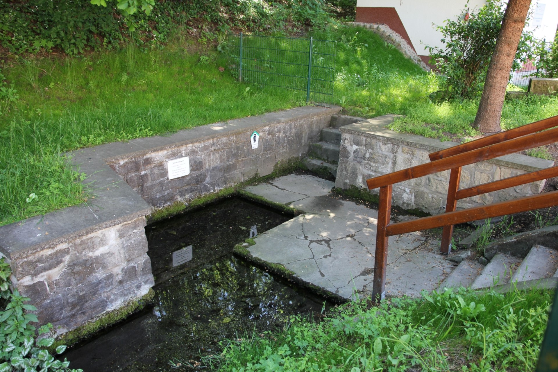 Die Apostelquelle in Mücheln entdeckt man auf der Wanderung. Foto: Sandra Reinicke