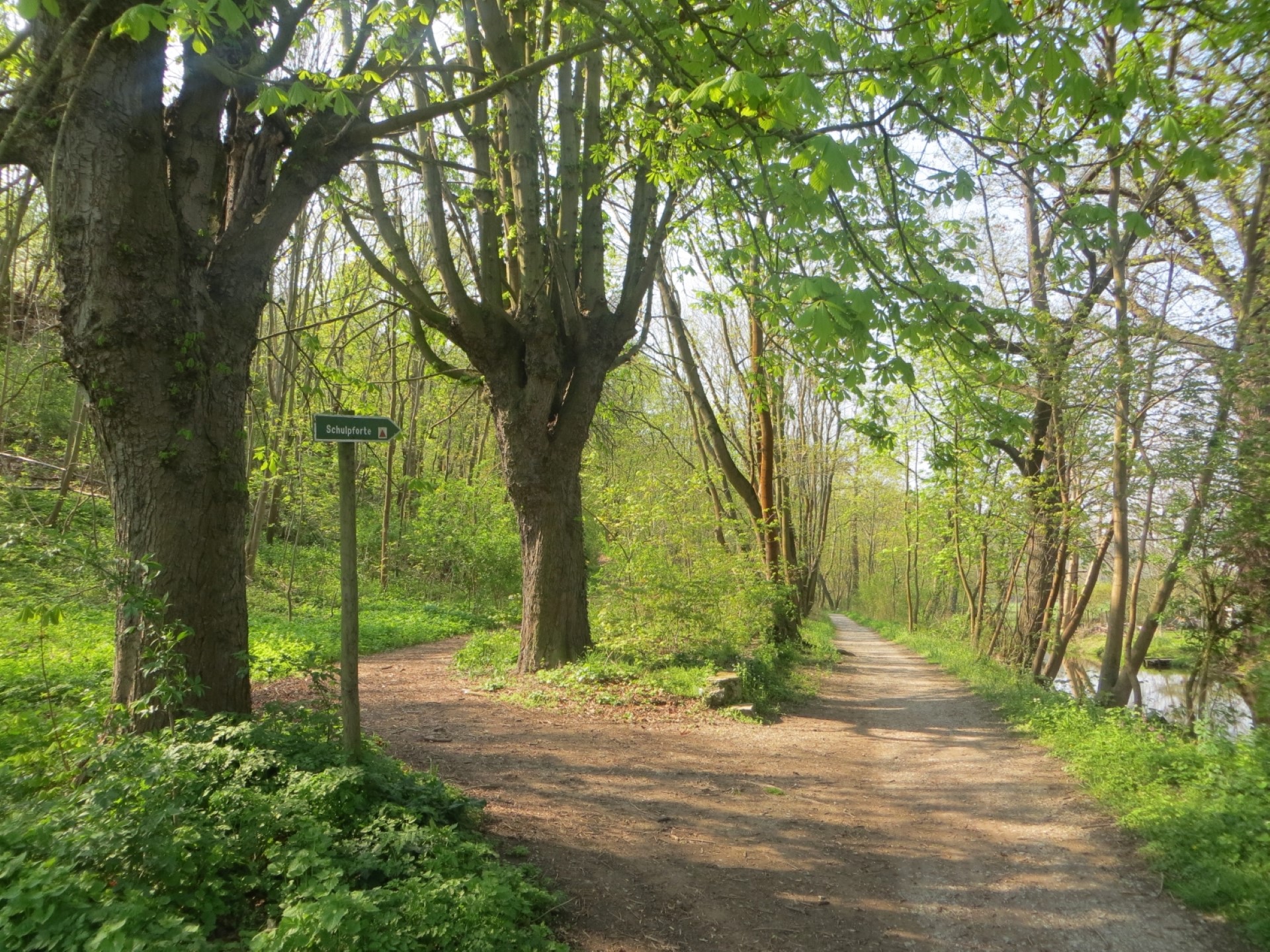 Wanderweg entlang der Kleinen Saale nach Schulpforte. Foto: Geo-Naturpark Saale-Unstrut-Triasland