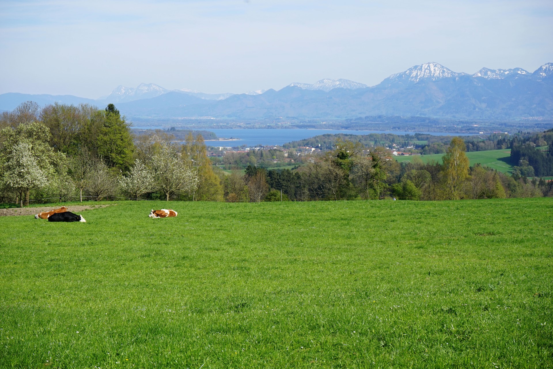 Wanderung auf die Ratzinger Höhe. Photo Credit: djd | Chiemsee-Alpenland Tourismus