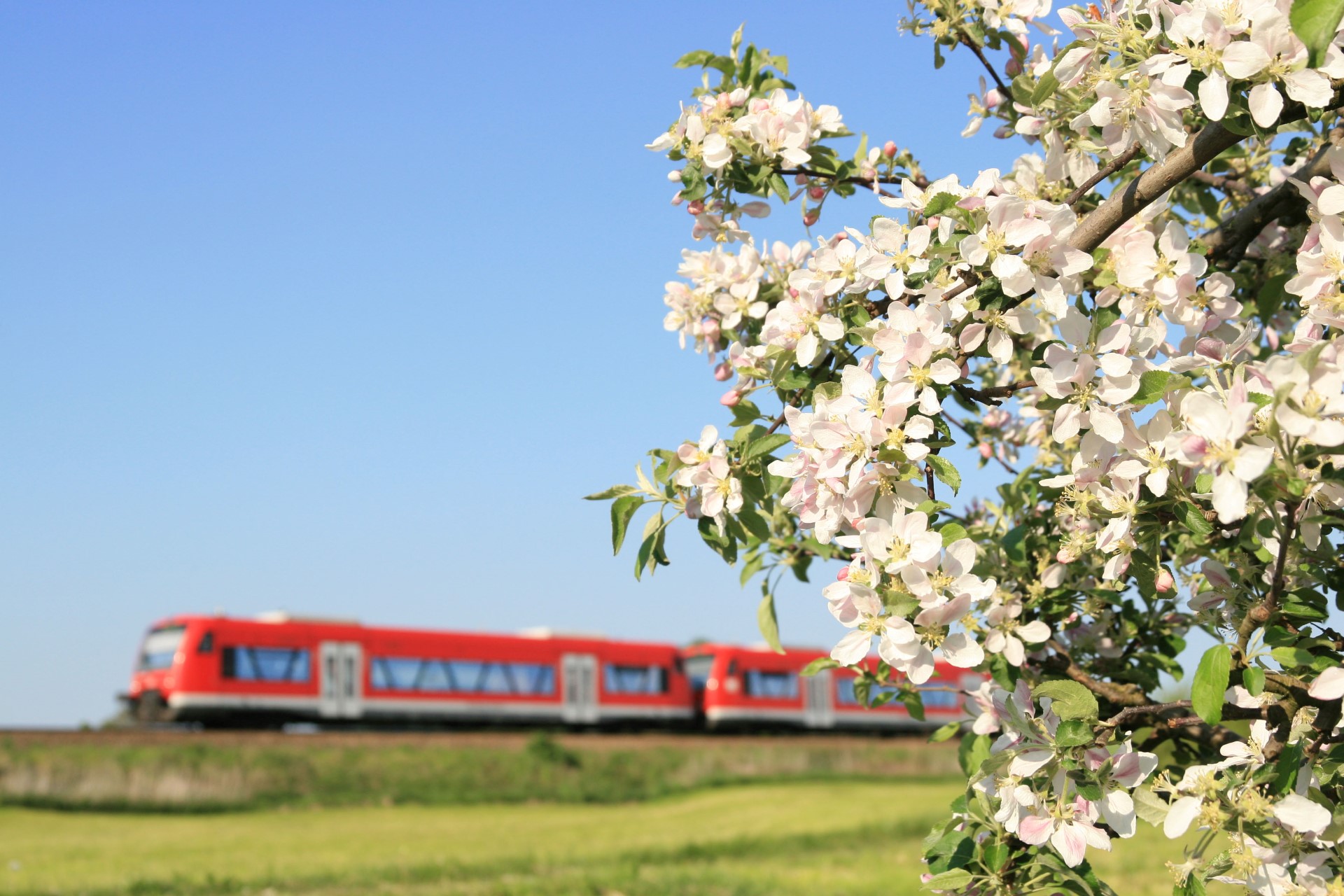 Nachhaltig unterwegs: Die Seelinie verbindet die Orte am Bodensee im 15-Minuten-Takt. Photo Credit: djd | Deutsche Bodensee Tourismus