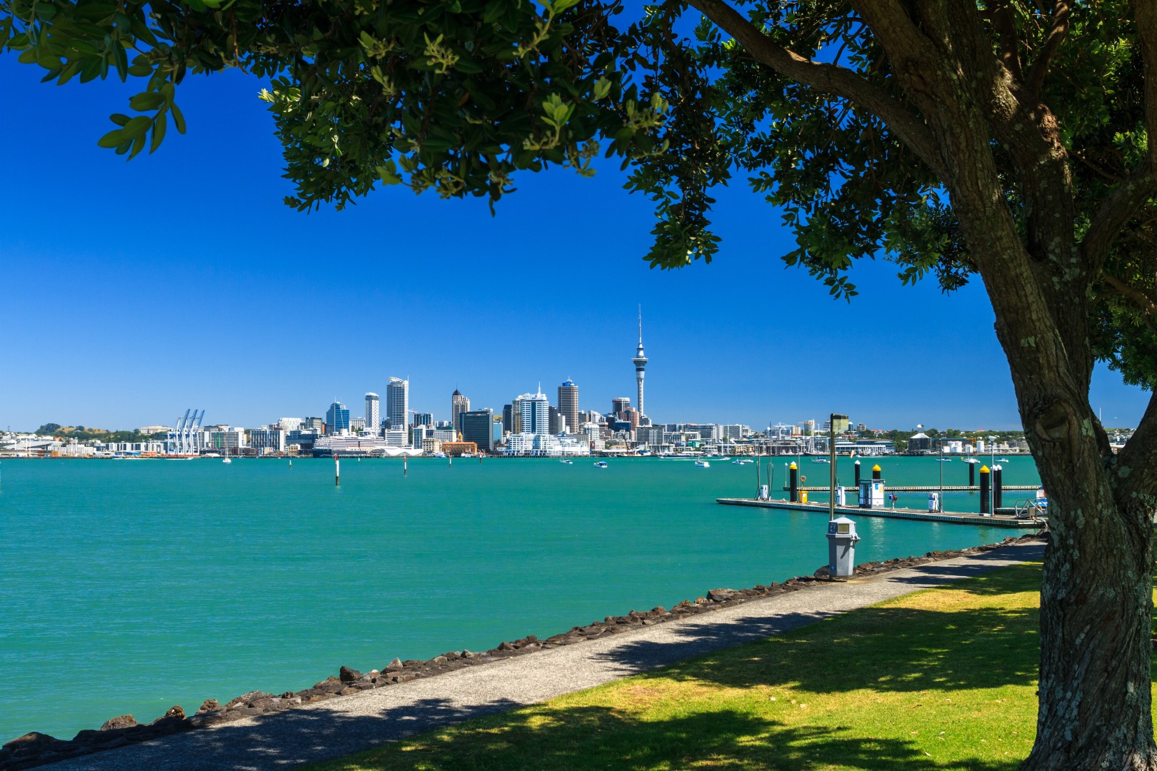 Waitemata Harbour in Auckland. Foto: Shutterstock | Dmitry Serbin