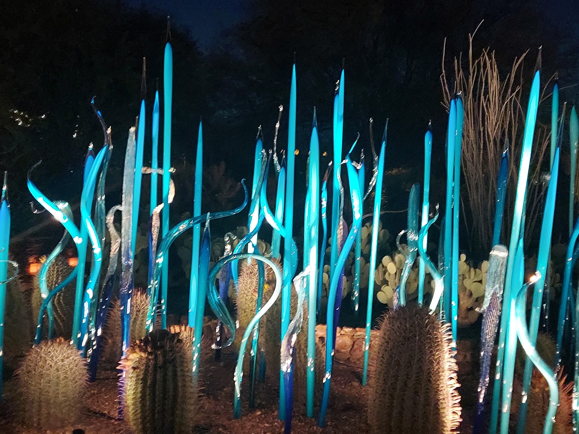 Dale Chihully Ausstellung im Desert Botanical Garden. Photo Credit: AOT