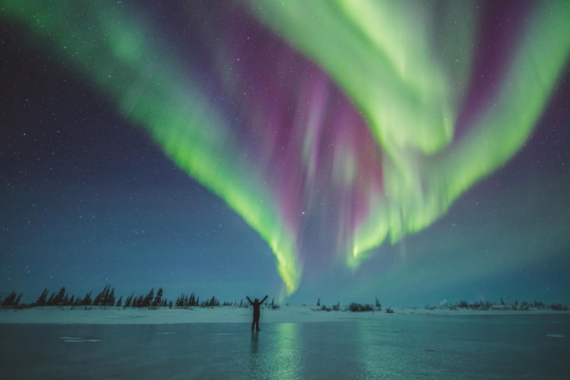 Aurora Borealis in Churchill. Foto: Travel Manitoba