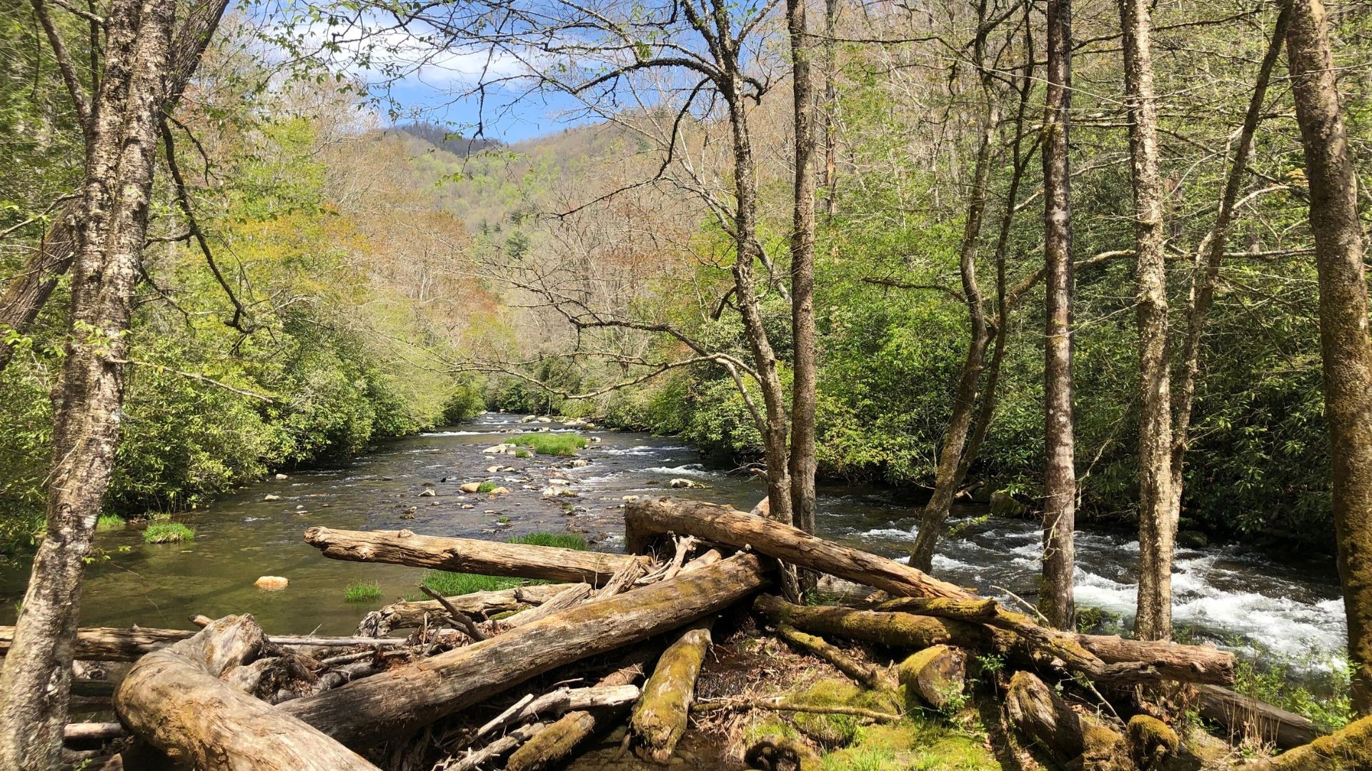 Die Great Smoky Mountains bieten eine atemberaubende Natur. Foto: Little America
