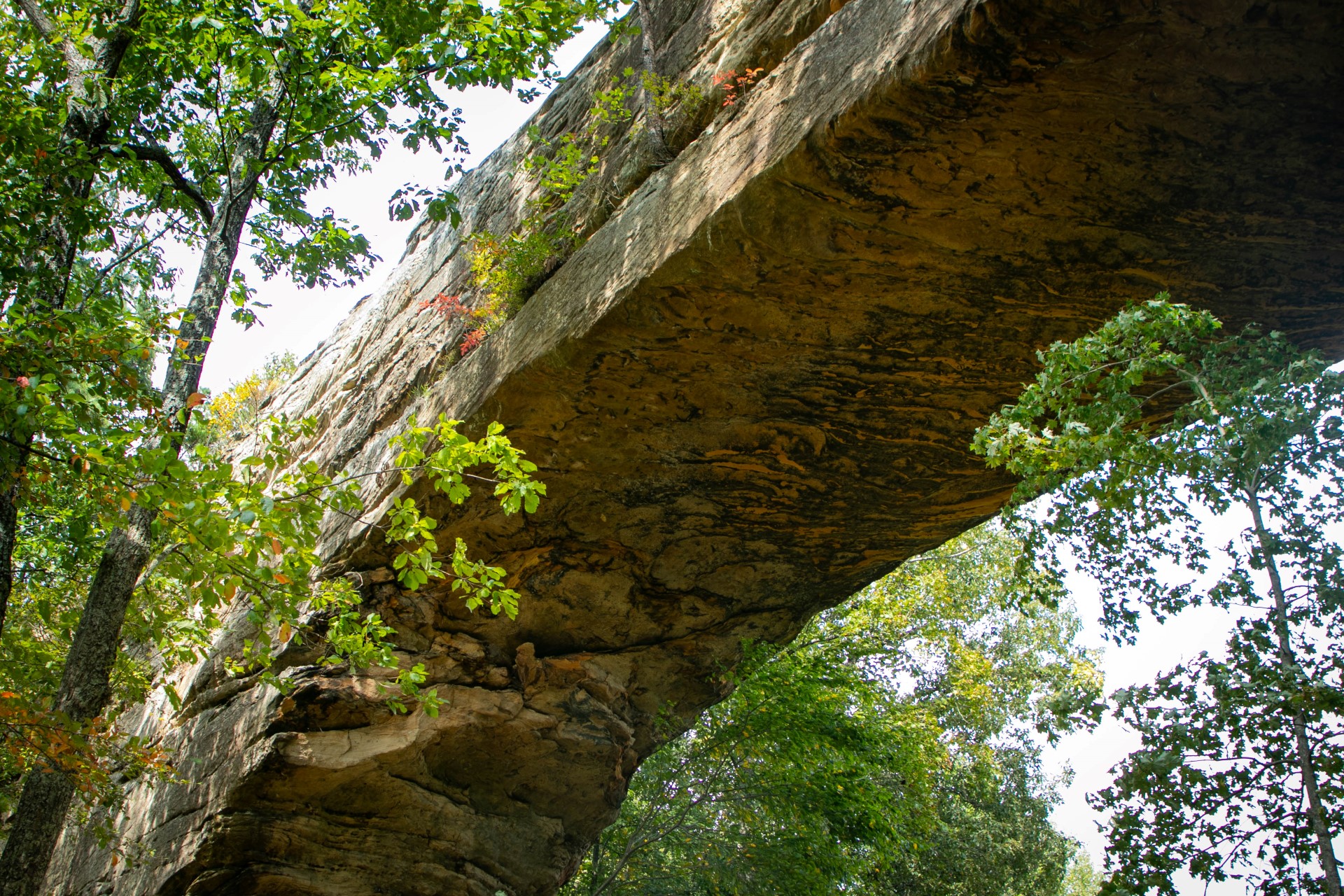 Natural Bridge. Foto: Kentucky Tourism 