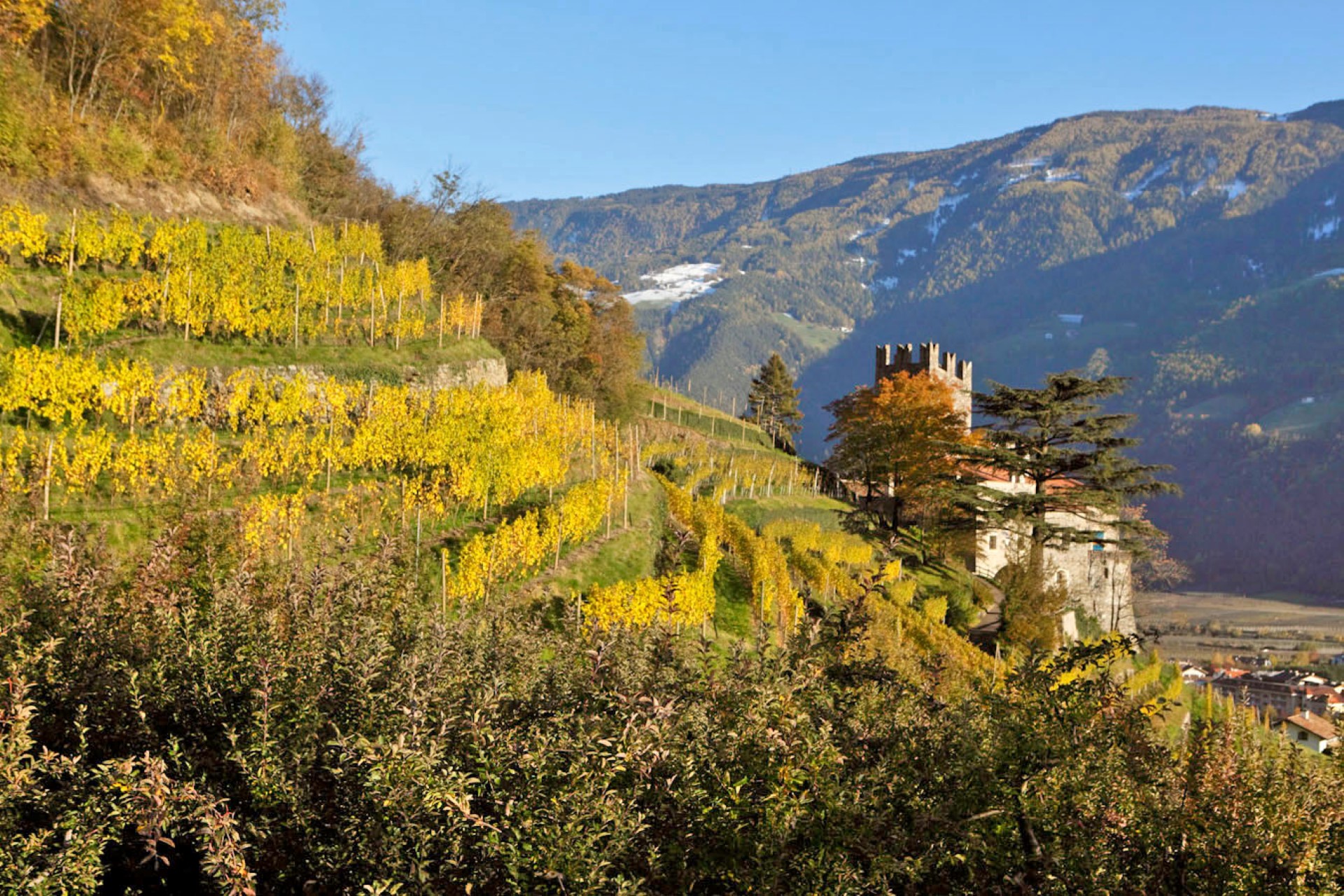 Südtirol: kulinarische Traditionen hautnah zu erleben