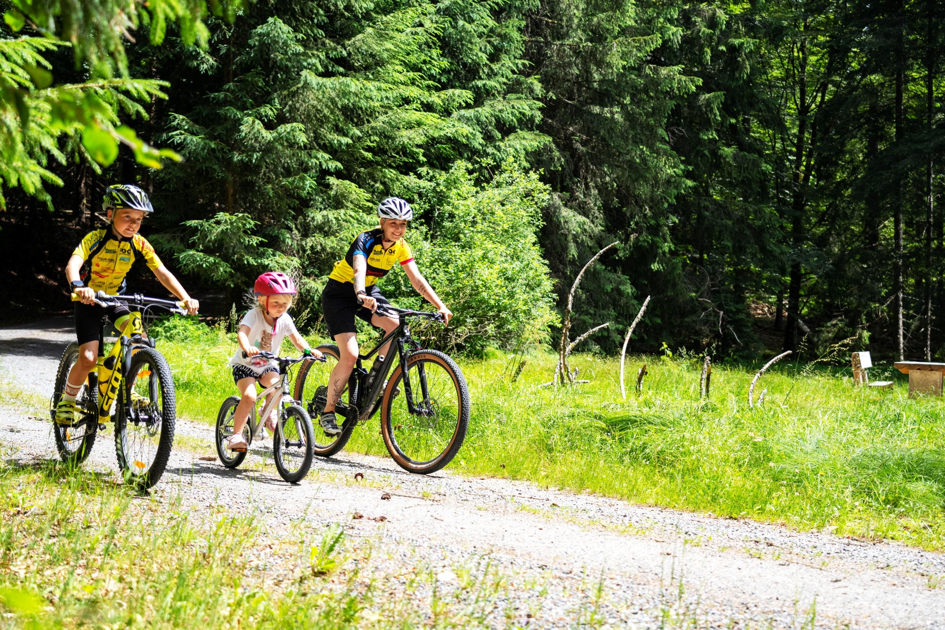 Zertifizierte Radwege führen Freunde des Radsports durch die Region. Foto: djd | Ferienregion Nationalpark Bayerischer Wald | Woidlife Photography