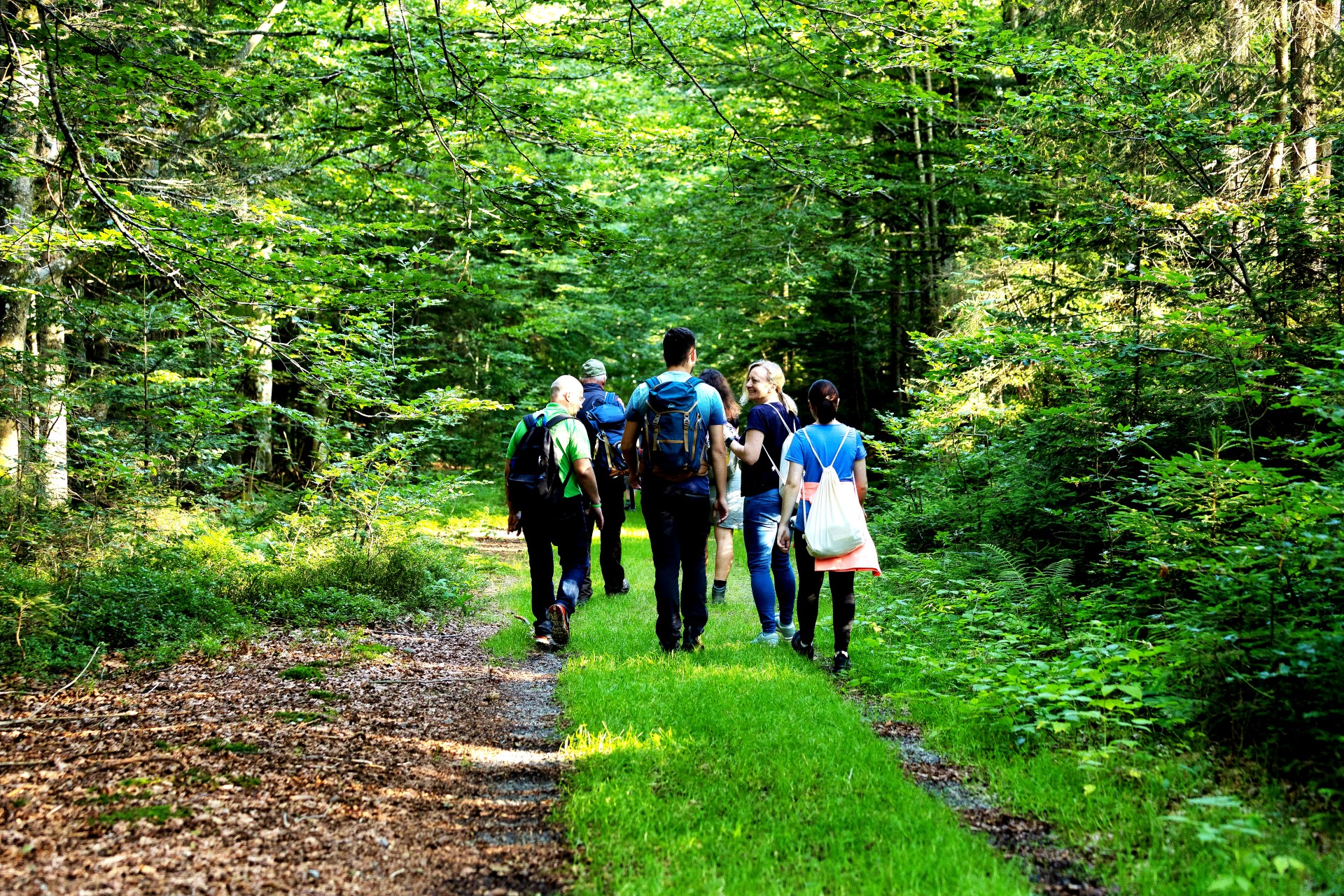 Für Anfänger wie Profis gibt es ausgeschilderte Rund- und Zielwanderwege. Foto: djd | Ferienregion Nationalpark Bayerischer Wald | Stephan Wühr