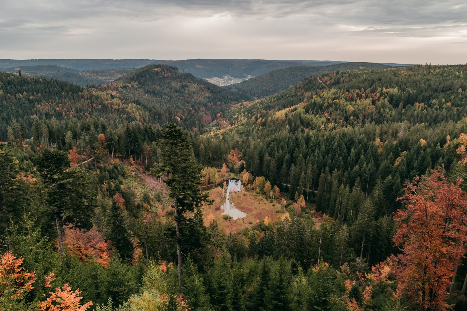 Nationalpark Schwarzwald: Der Wald ist die beste Medizin