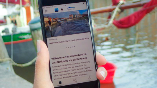 WWF veröffentlicht „Wadden Sea Explorer“-App zur Erkundung der Wattenmeer-Region