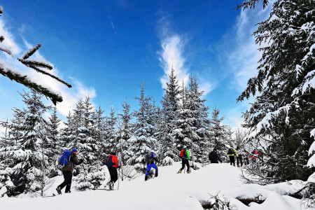 Fichtelgebirge: Winterwandertage rund um den Ochsenkopf