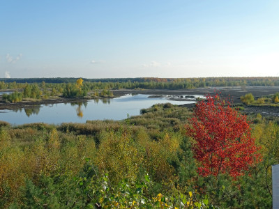 Lausitzer Seenland: Mit Erlebnistouren den Landschaftswandel entdecken 