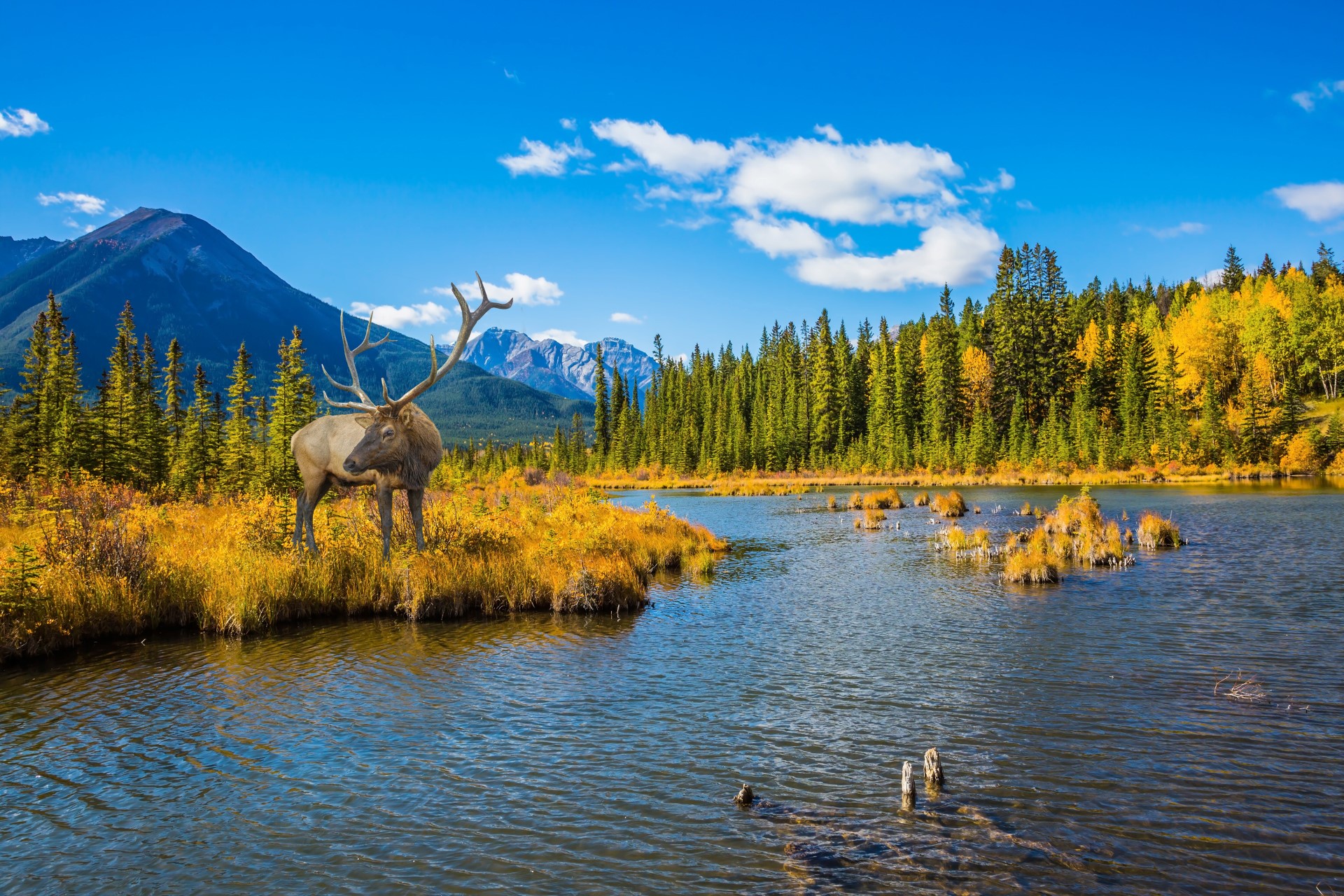 West-Kanada: Eine Region voller Naturwunder