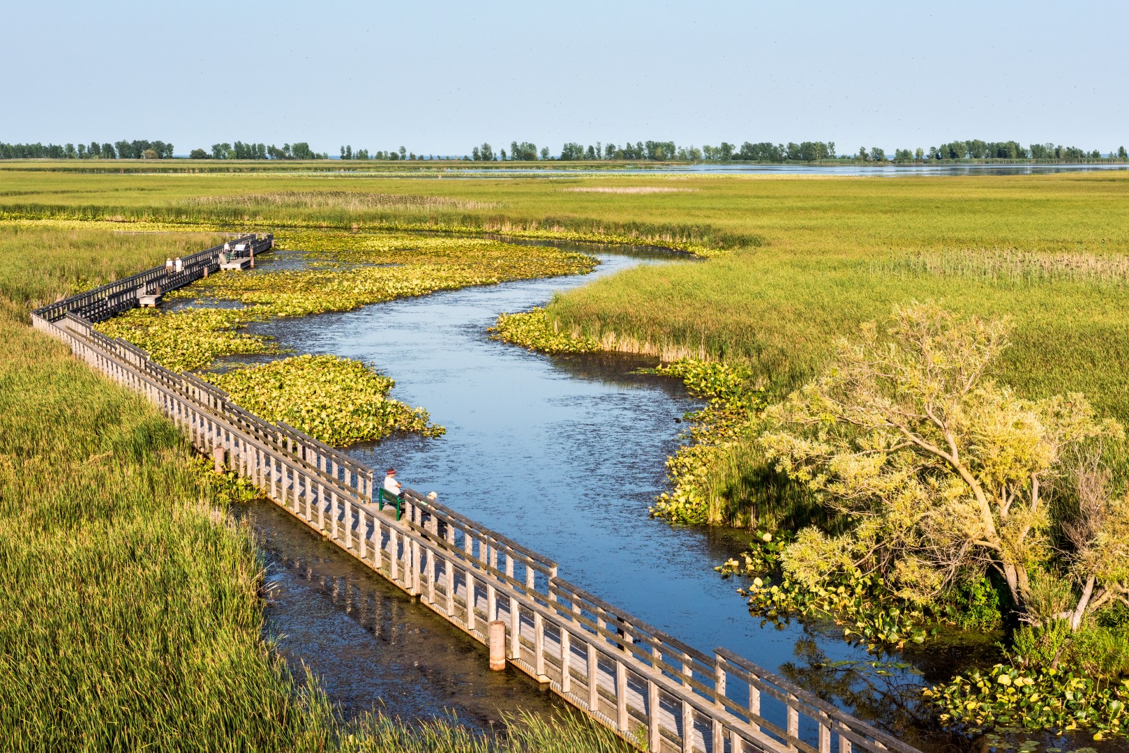 Ontario: Point Pelee National Park