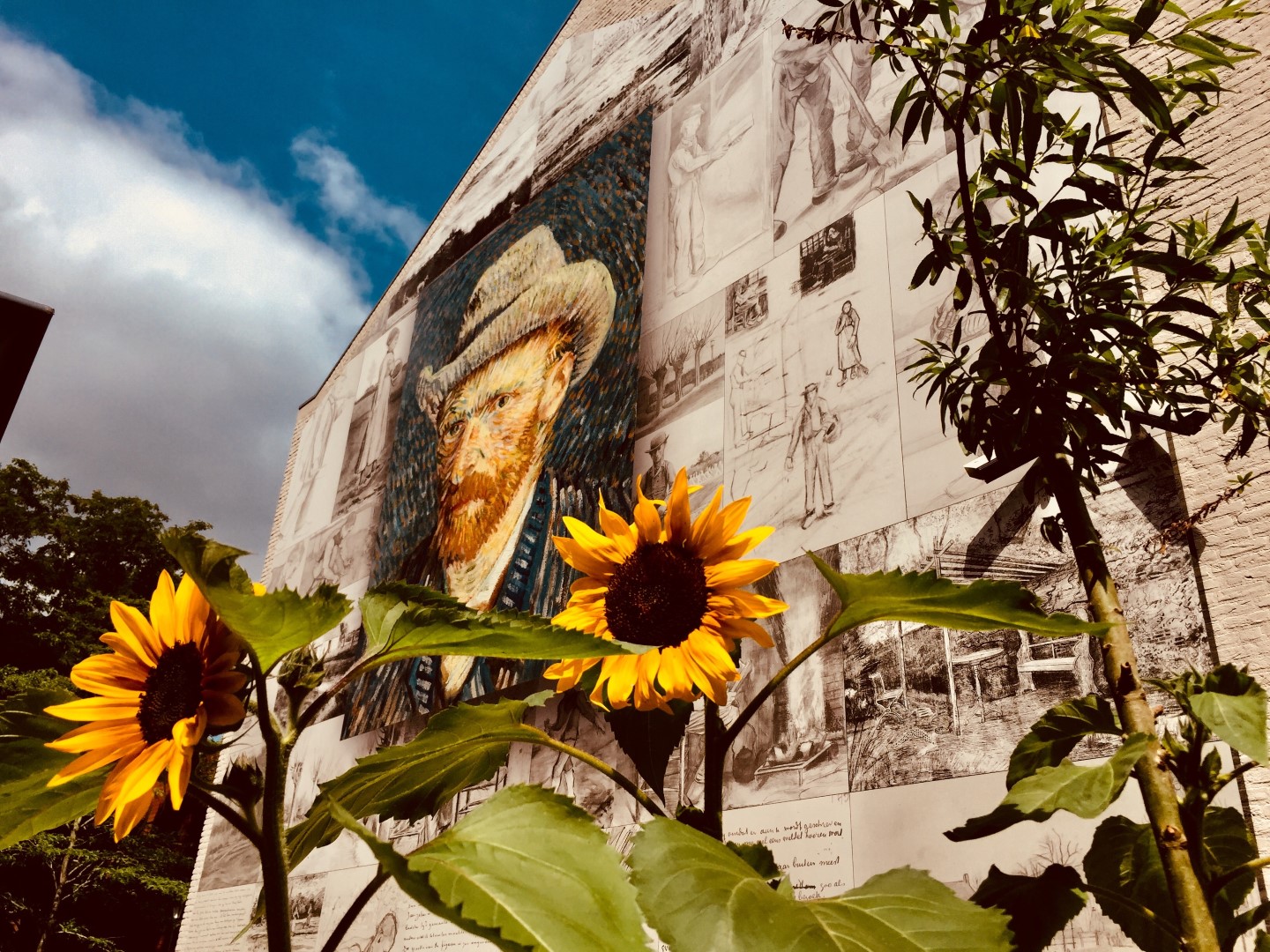 Niederlande: Interaktive Ausstellung zu Van Gogh in Noordbrabant 