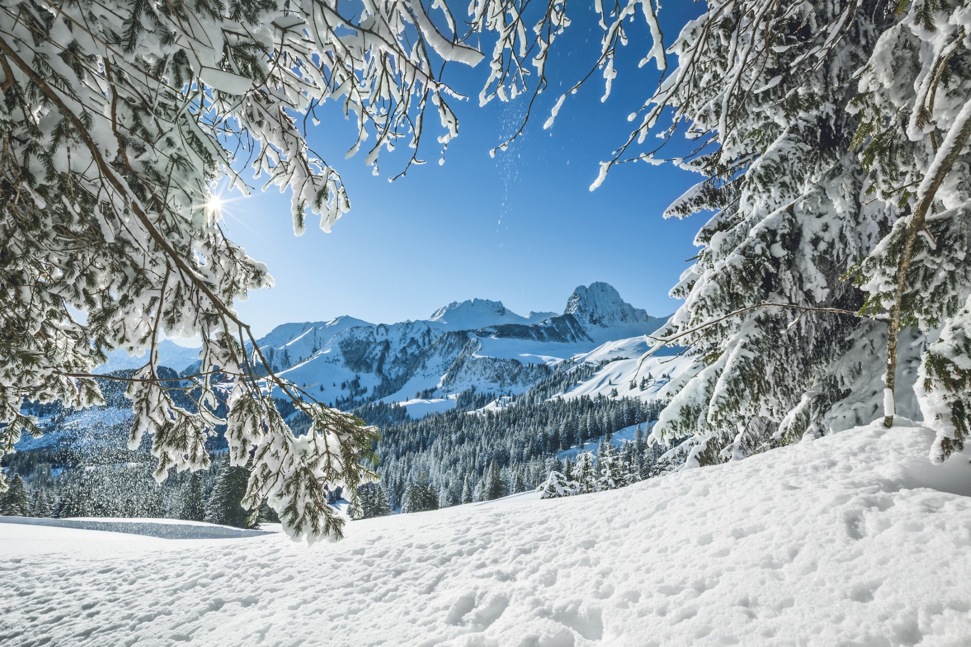 Schweiz: Winterwanderungen in Naturparks