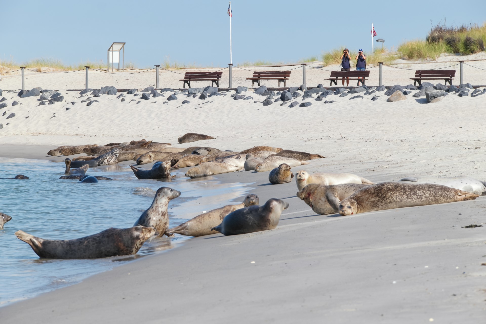 Helgoland: Zum Wintererlebnispfad auf der Düne