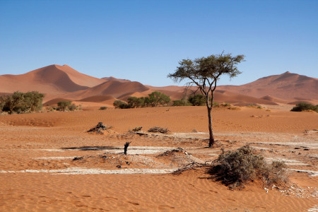 RKI streicht Namibia als Virusvariantengebiet