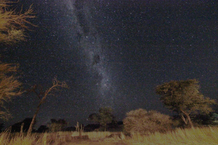 Südafrika: !Ae!Hai Kalahari-Nationalpark ist internationales Lichtschutzgebiet
