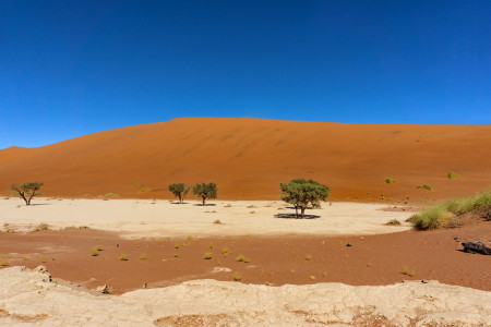 reise trends couch travel: Prickelnde Online-Reise nach Namibia 
