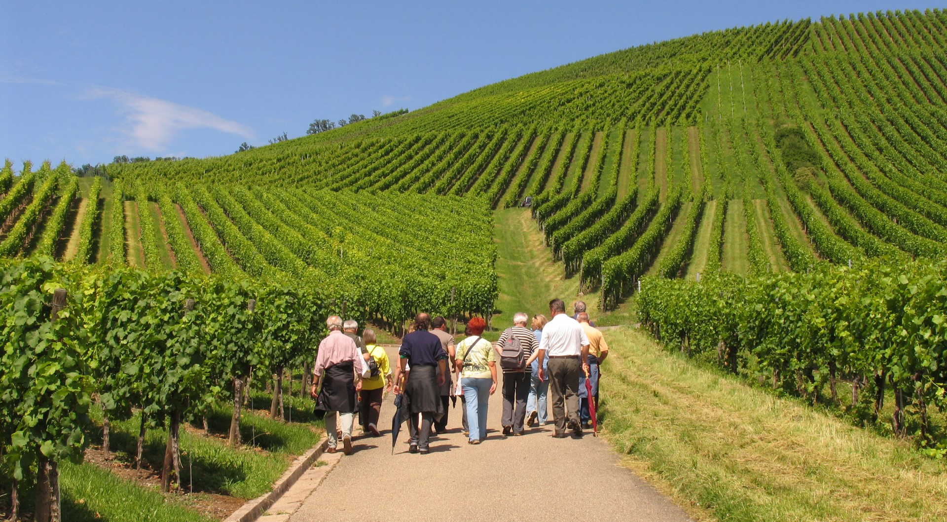 Marbach-Bottwartal: Wein, Literatur und Landschaften zum Genießen