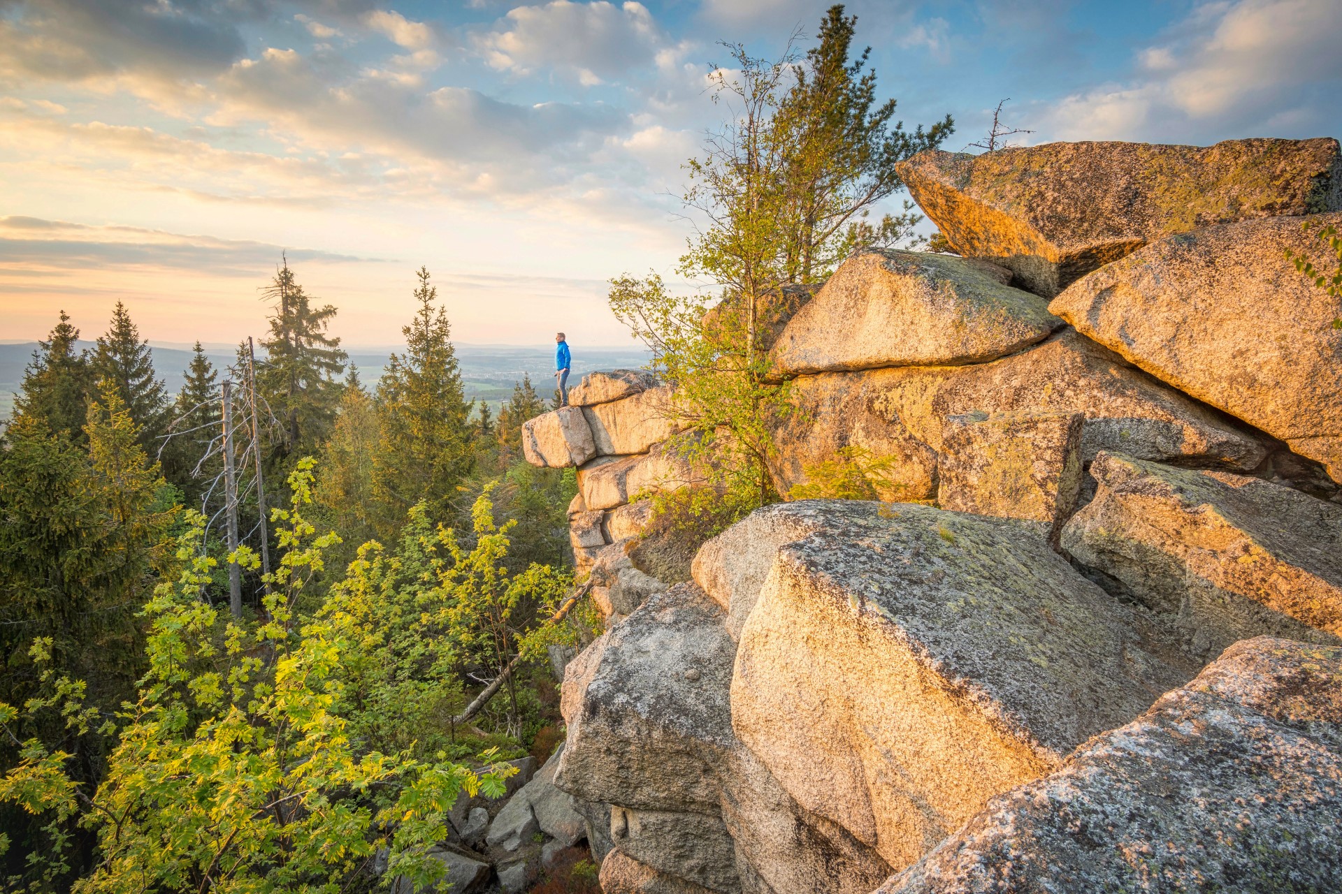 Bayerischer Steinwald: Geheimtipp für Natur- und Ruhesuchende 