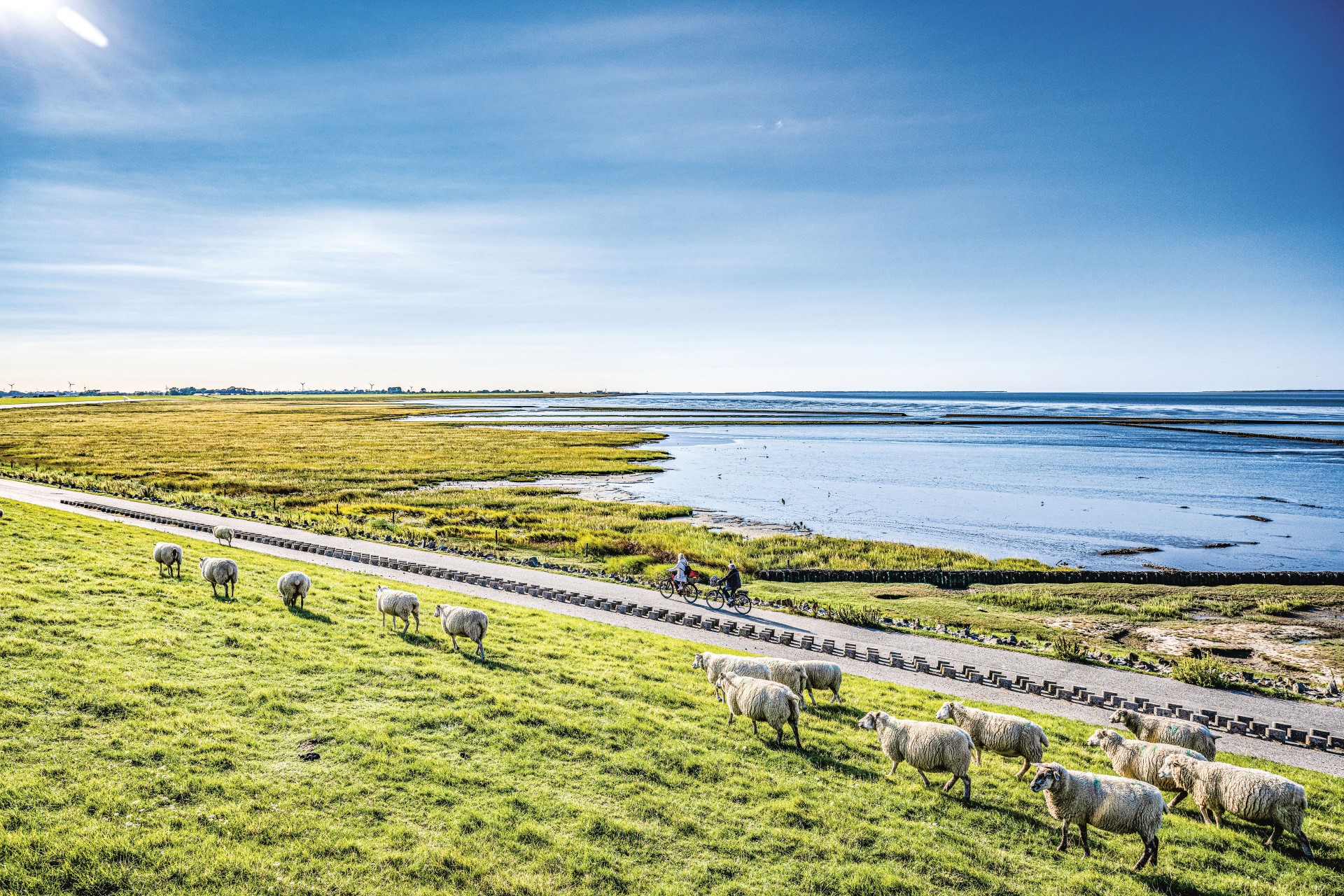 Dornum: Nachhaltig entschleunigen am Nationalpark Wattenmeer