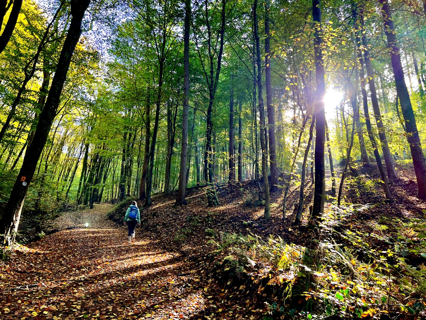 Bergisches Land: Wanderparadies mit preisgekröntem Fernwanderweg