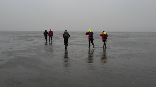 Nordsee: Winterliche Wanderung durch das Wattenmeer